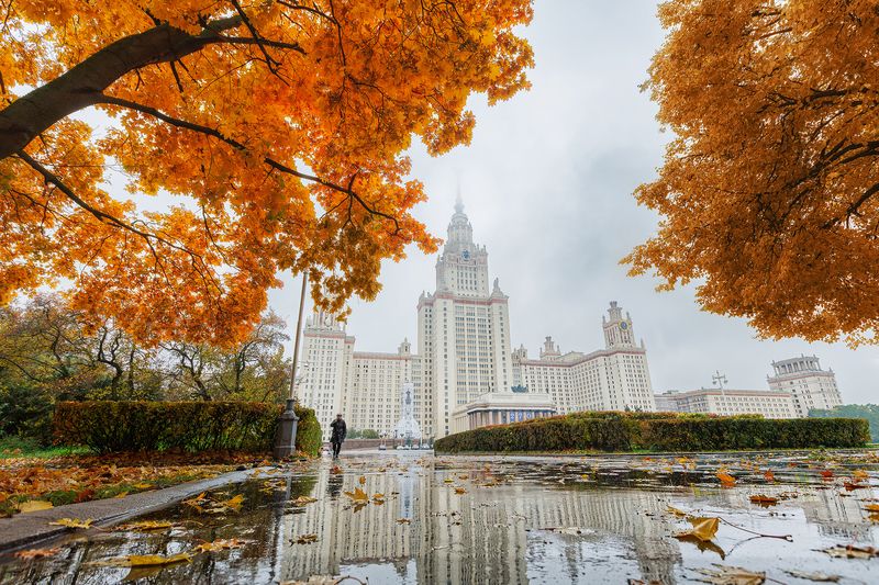 МГУ, Москва, осень, город Тепло осени фото превью