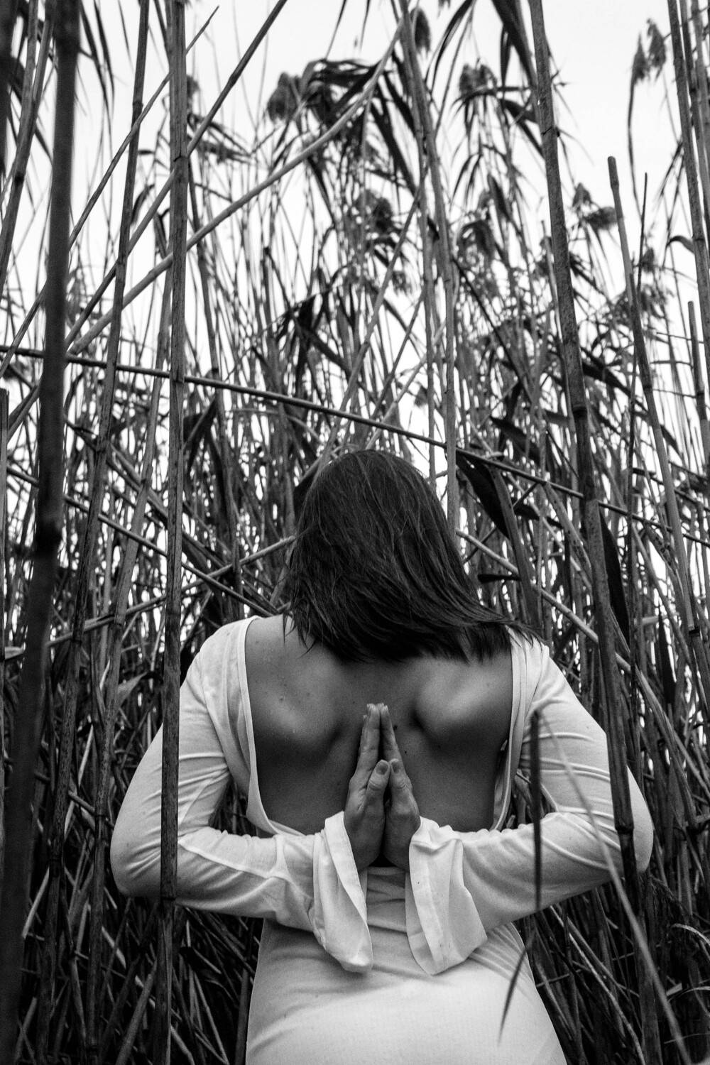 , Сергей Никулин