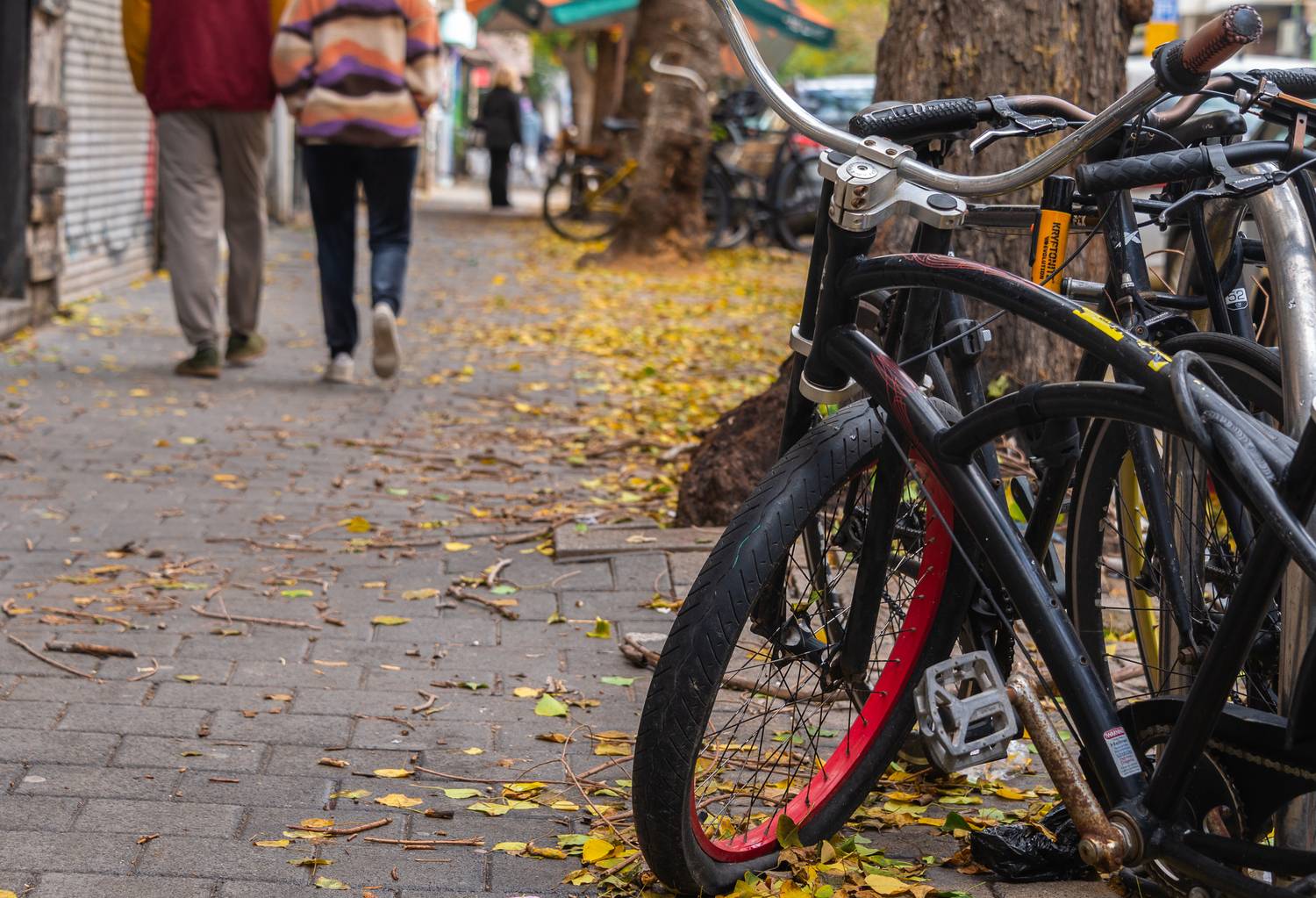 , Vladimir Bragilevsky