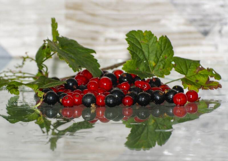 Натюрморт фото превью