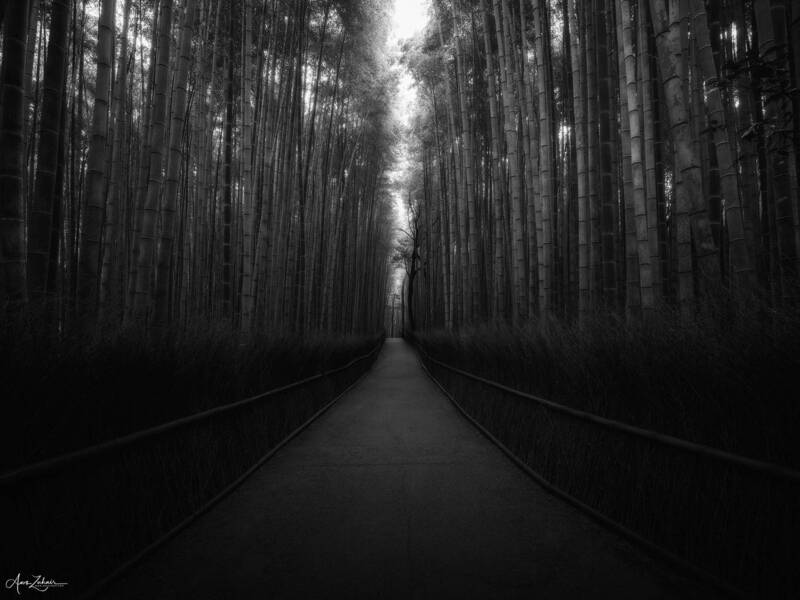 Arashiyama Bamboo Forest фото превью