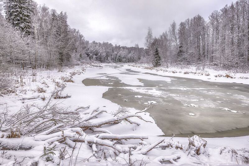 **** фото превью