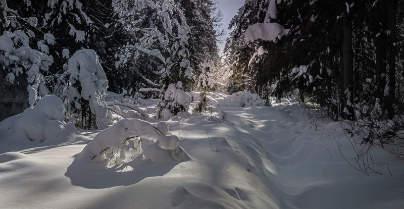 Московская обл. Крещенские морозы... фото превью