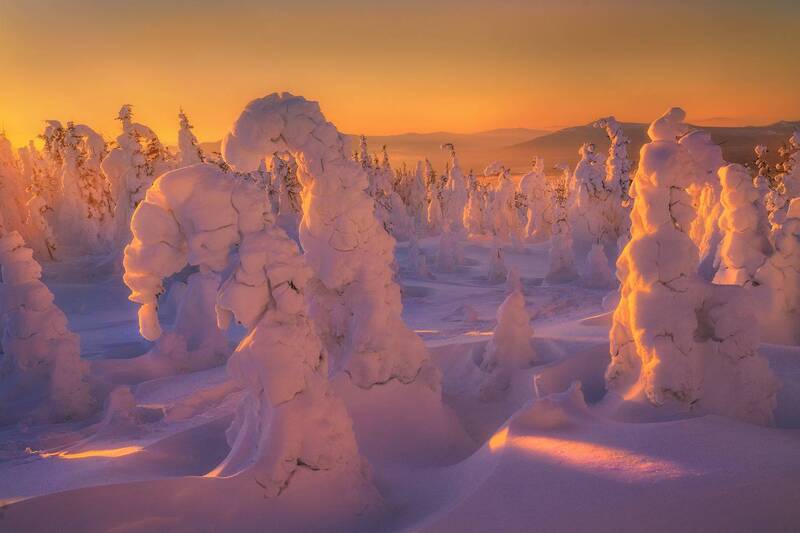 В золоте рассвета фото превью