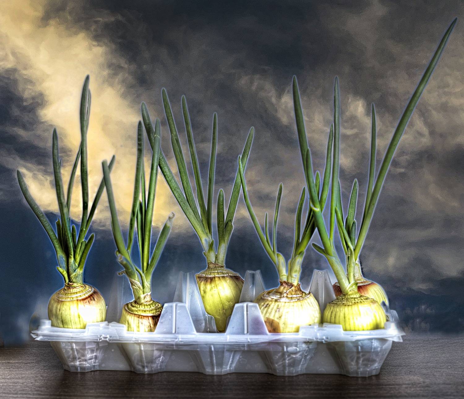 , Борис Бусыгин