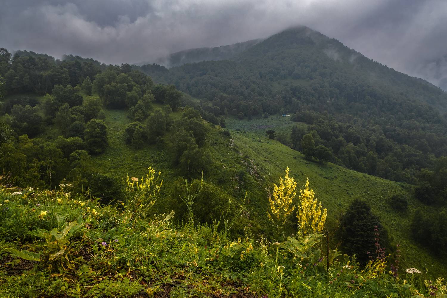 , Лысенко Сергей