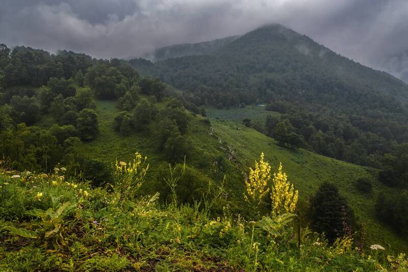 Кавказ. фото превью