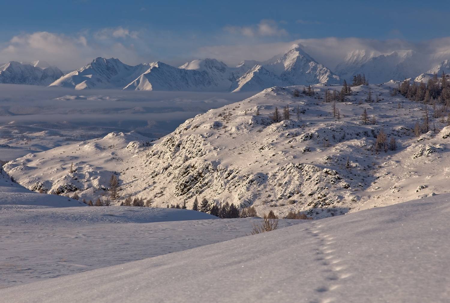 , Игорь Щербаков