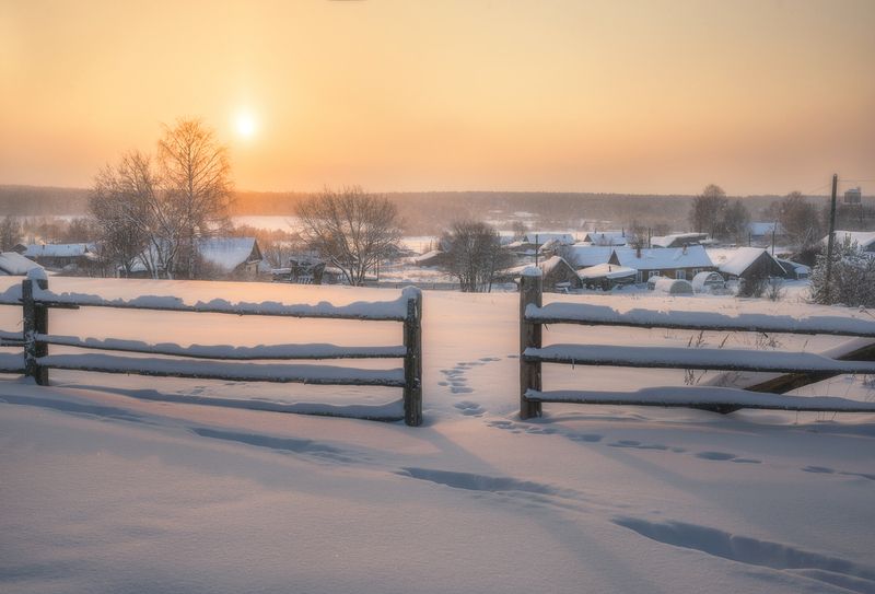 В мягком свете зимнего солнца фото превью
