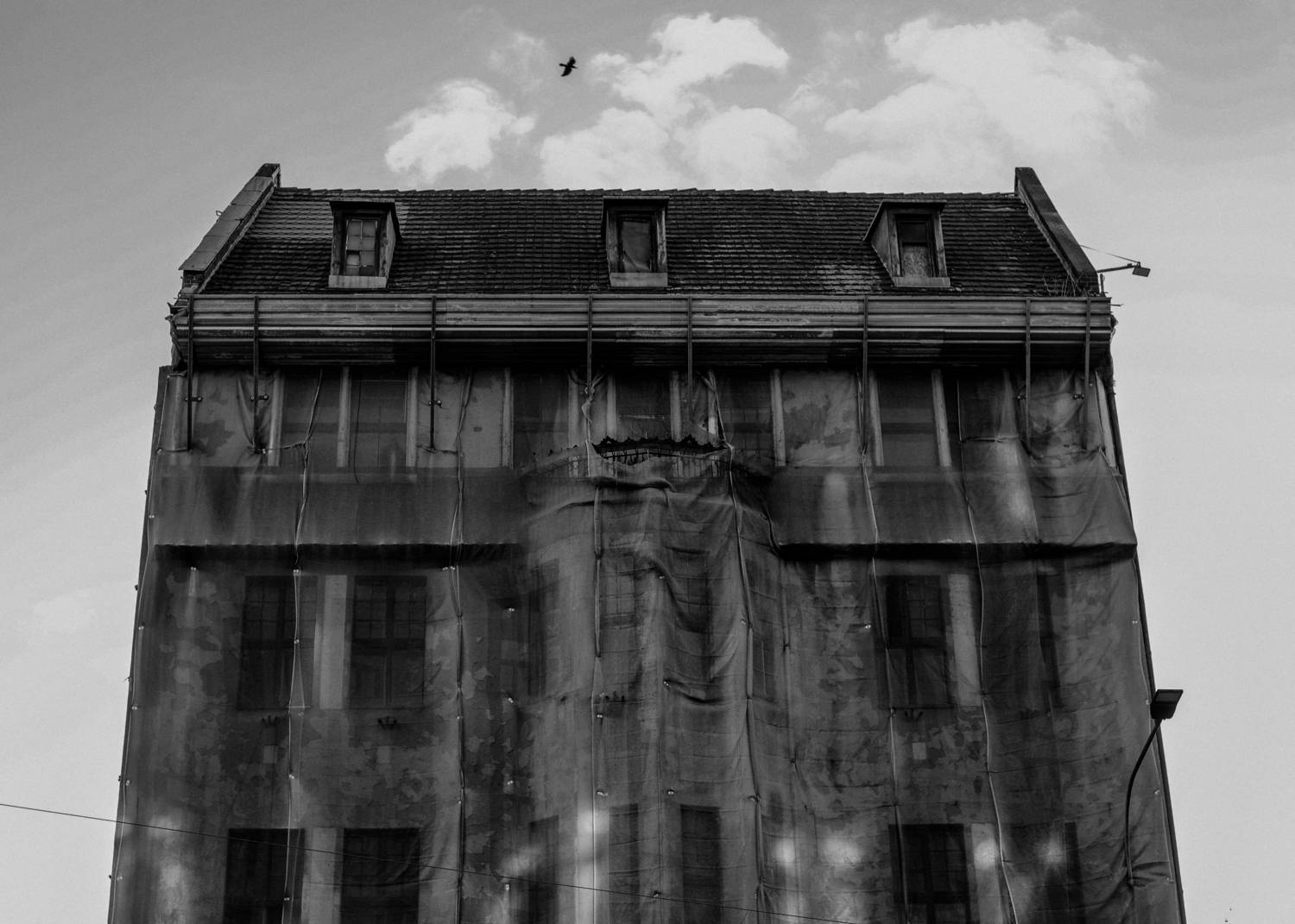 , Krzysztof Trojanowski