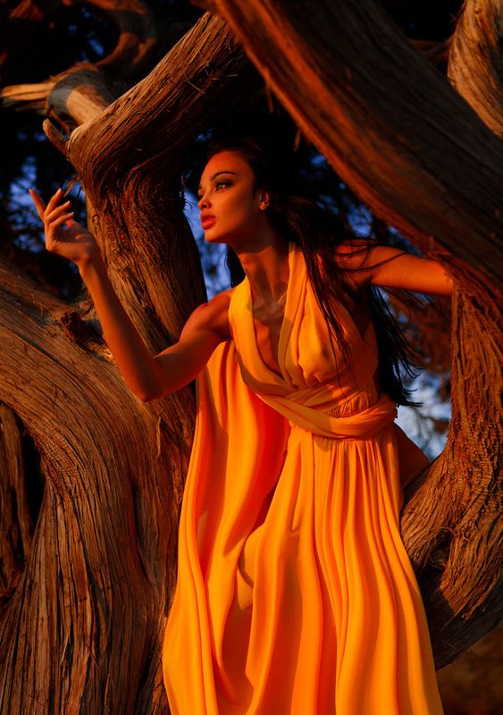 ...русалка на ветвях сидит ;) фото превью