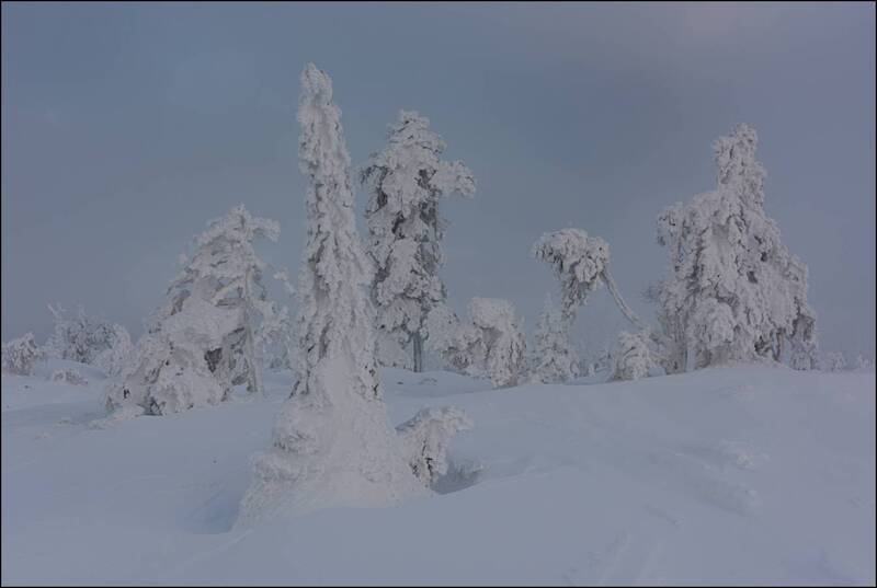Немного про один день на сопках фото превью