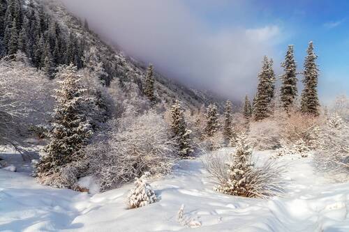 Январские зарисовки