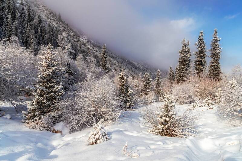 кыргызстан, ала-арча Январские зарисовки фото превью