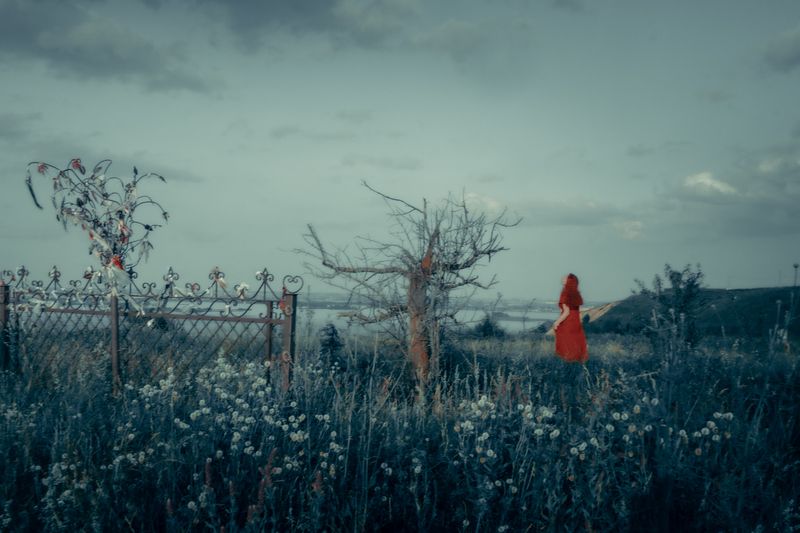 пейзажный портрет приключение сказка живопись В стране чудес фото превью