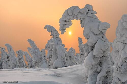 Розовый вечер (3)