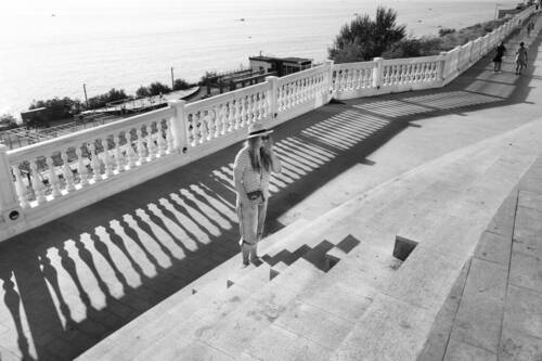 Тень среди теней