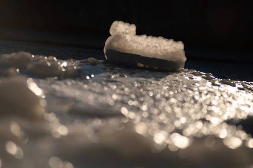 В сокровищнице января.