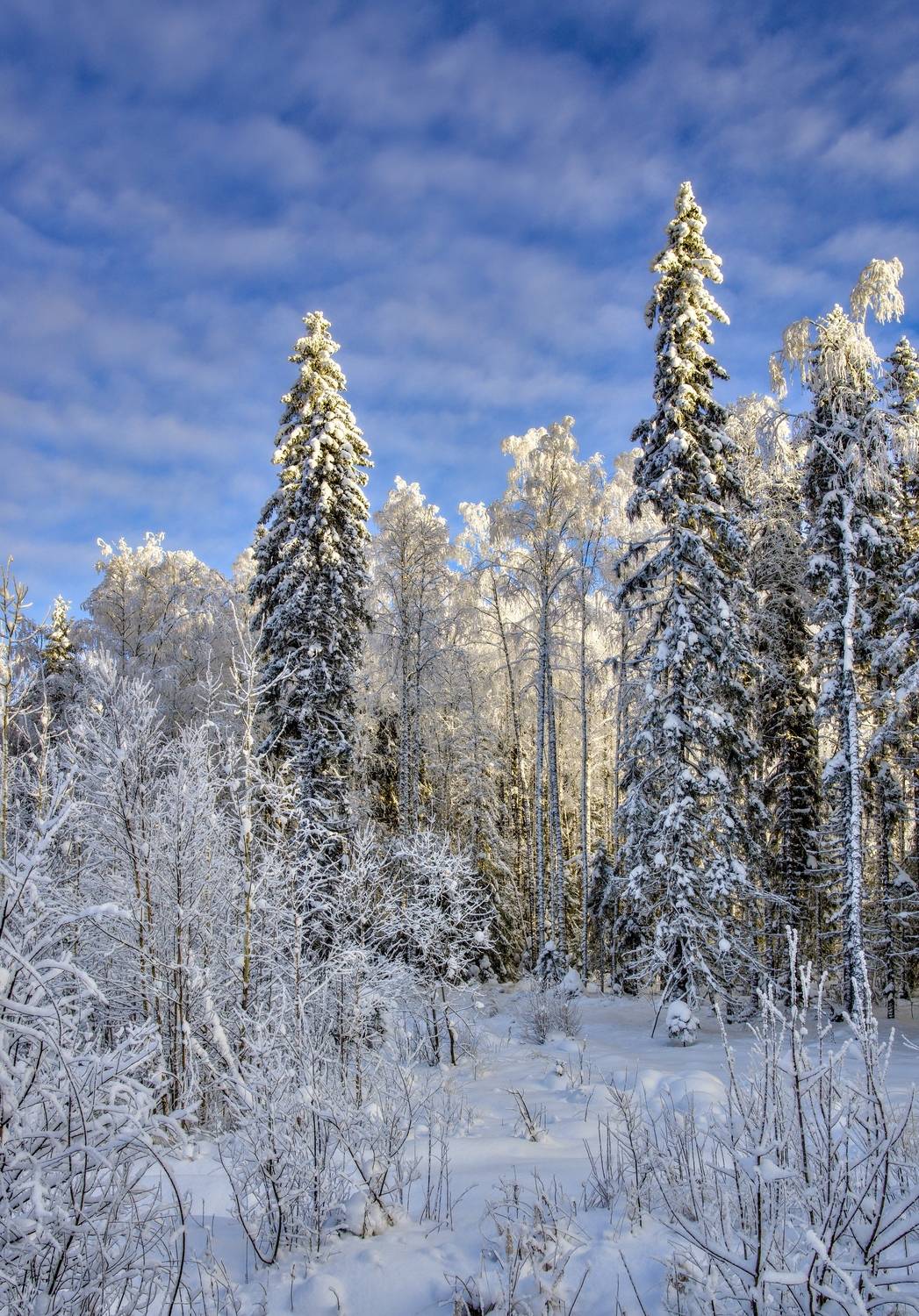 вечер снег зима мороз небо, Igor Shishpanov