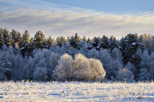 Из тени к свету