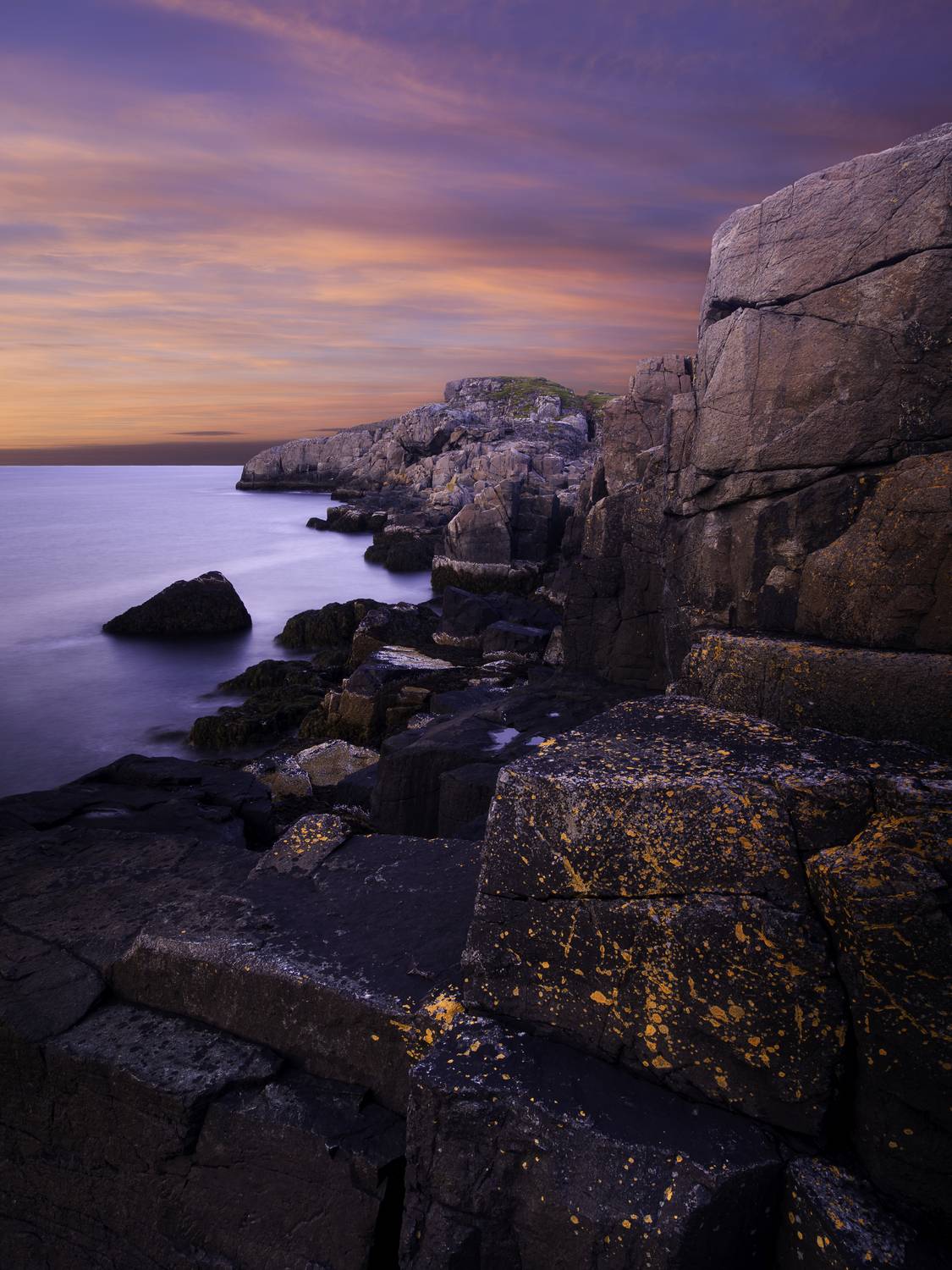 , роман фарберов