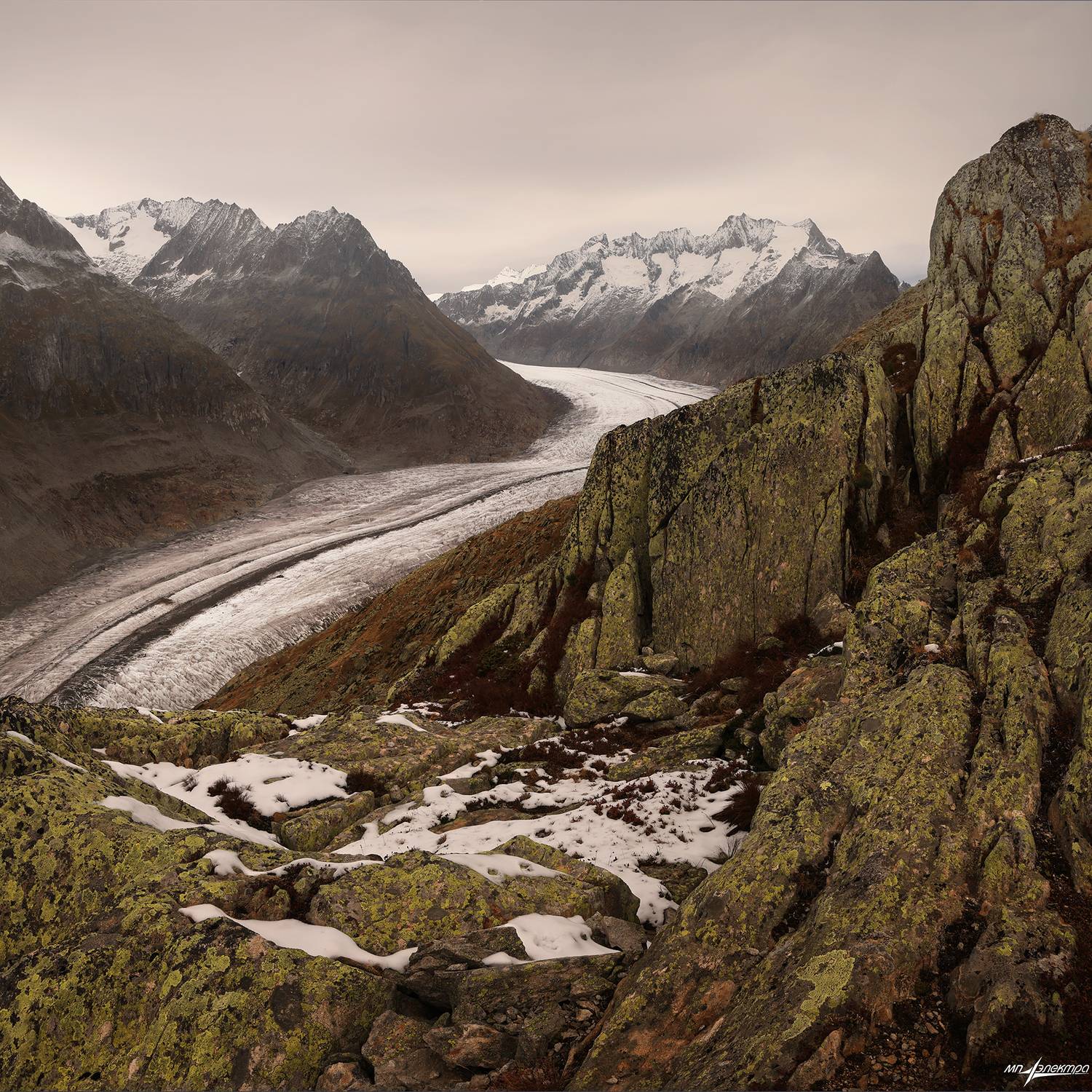 swiss, Матвеев Николай