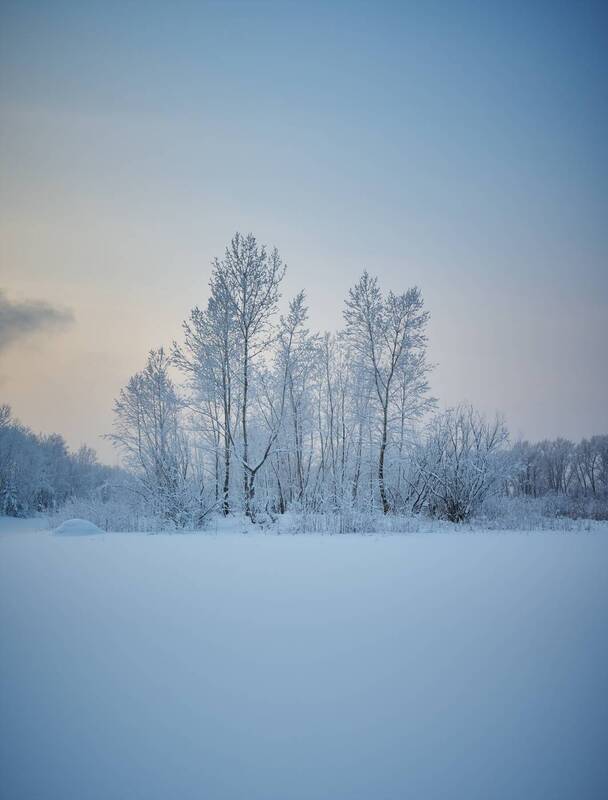 татышев красноярск *** фото превью