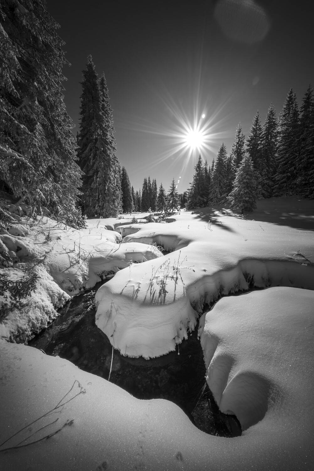 , Mariyana Atanasova - Lucero