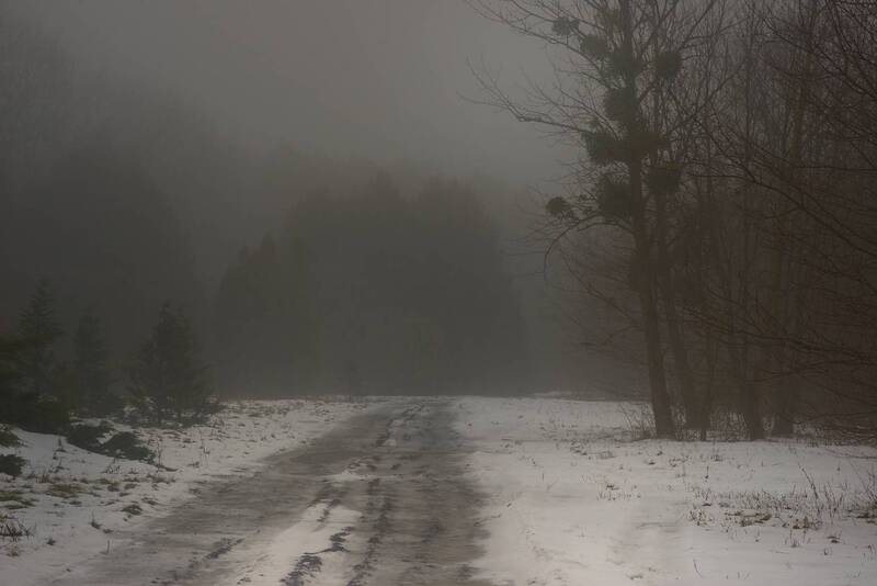 зима туман лес утро Туманное утро фото превью