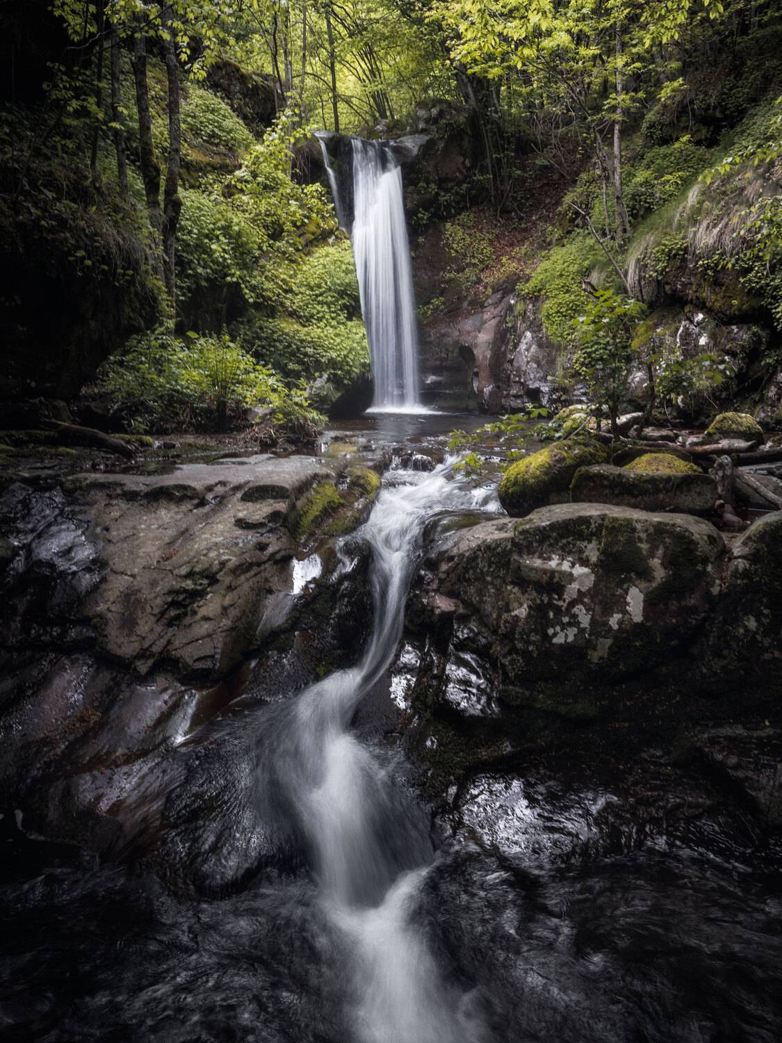 , Вукотић Никола