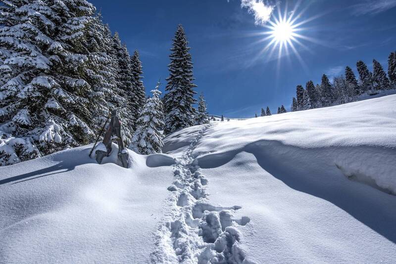 Тропа к солнцу фото превью
