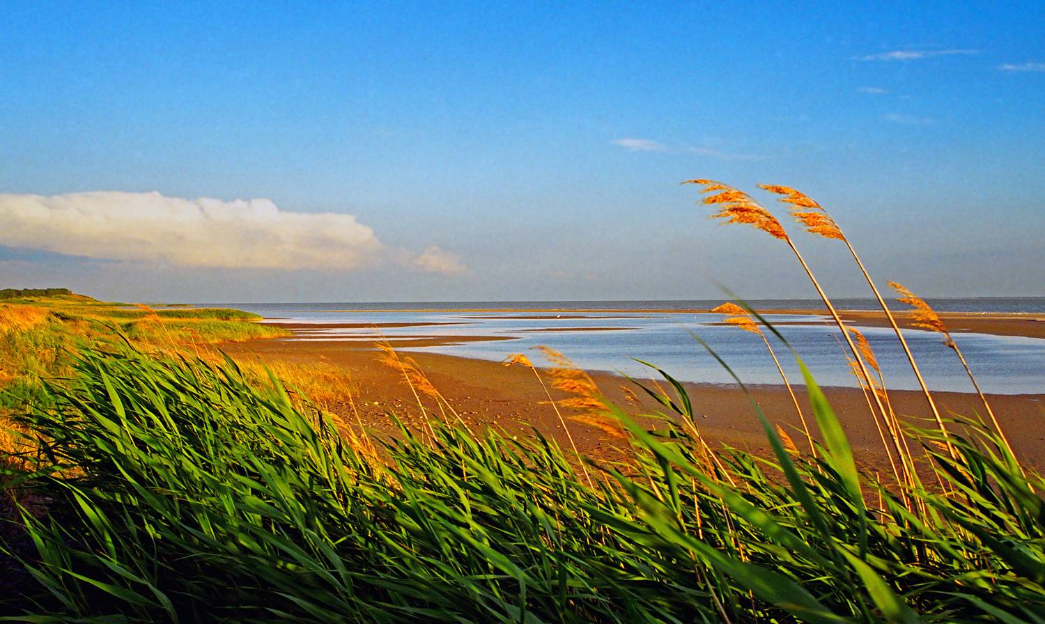 , Андрей Петросян