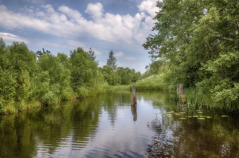 **** фото превью