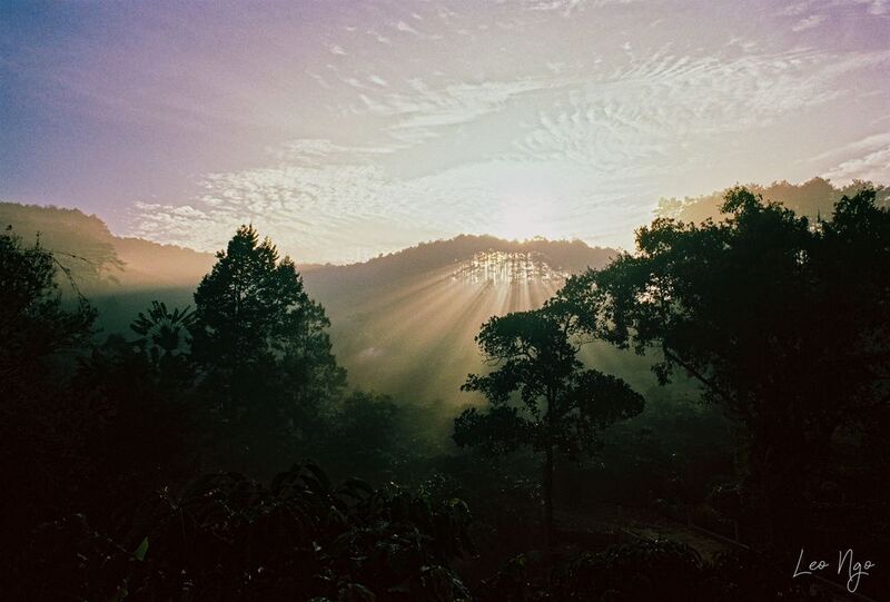 Early morning light. фото превью