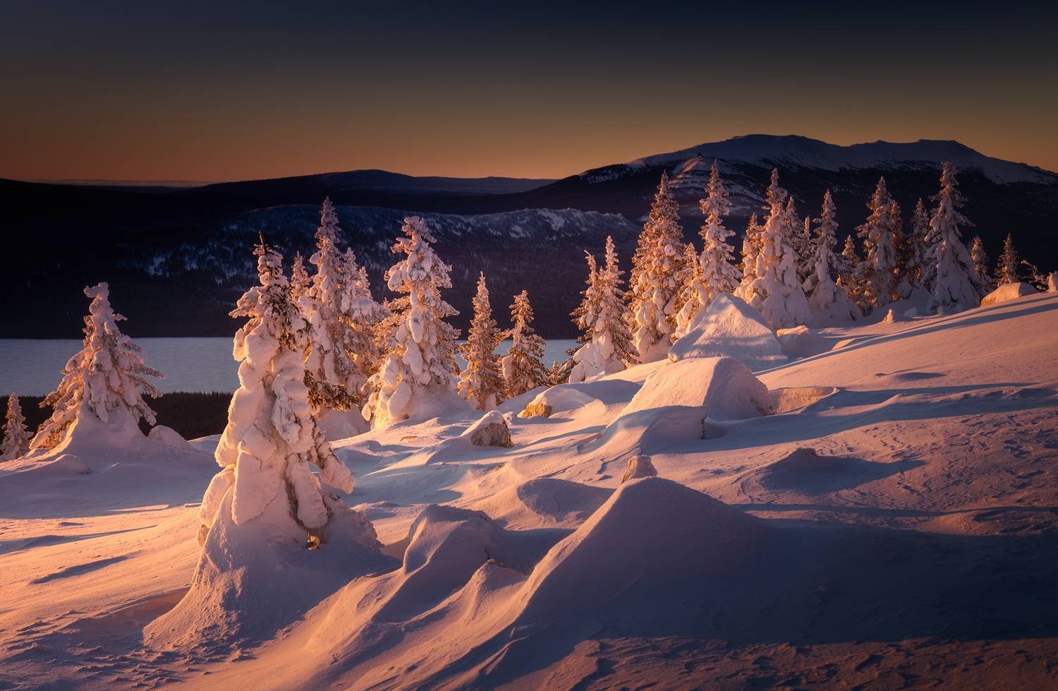 , Татьяна Бирюкова