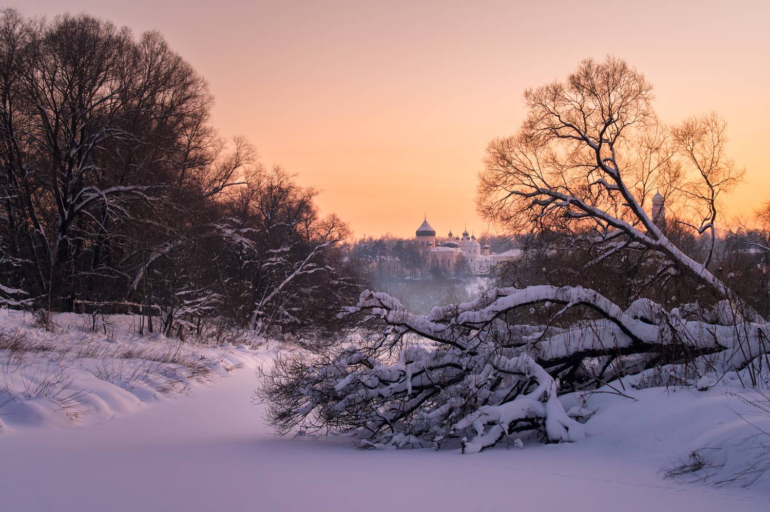 река, московская область, россия, храм, церковь, православие, монастырь, зима, мороз, вечер, закат, дерево, давидова пустынь, Ракичевич Томислав