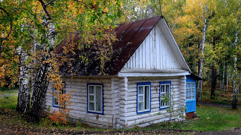 Лесной домик фото превью