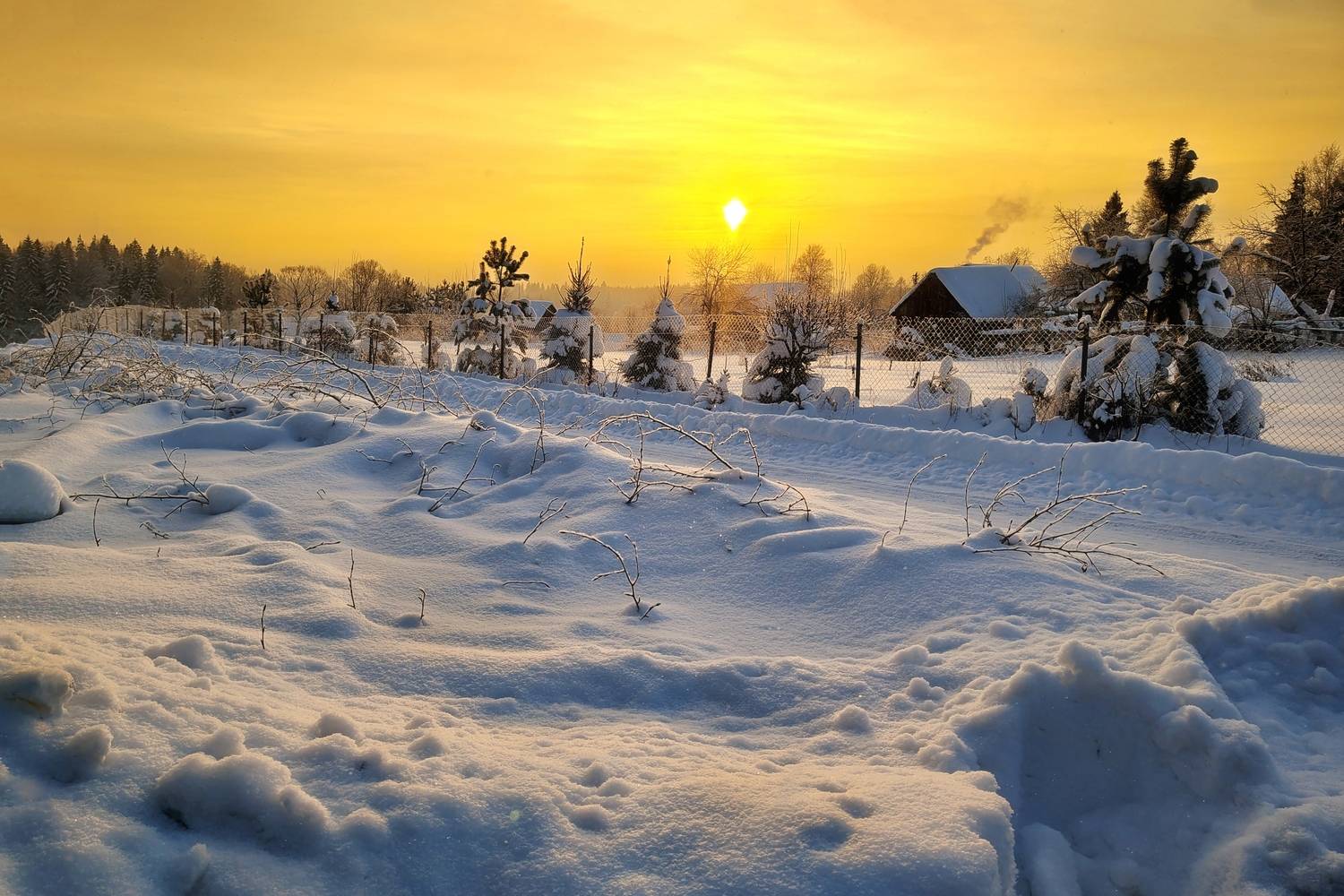 , Алексей Никонов