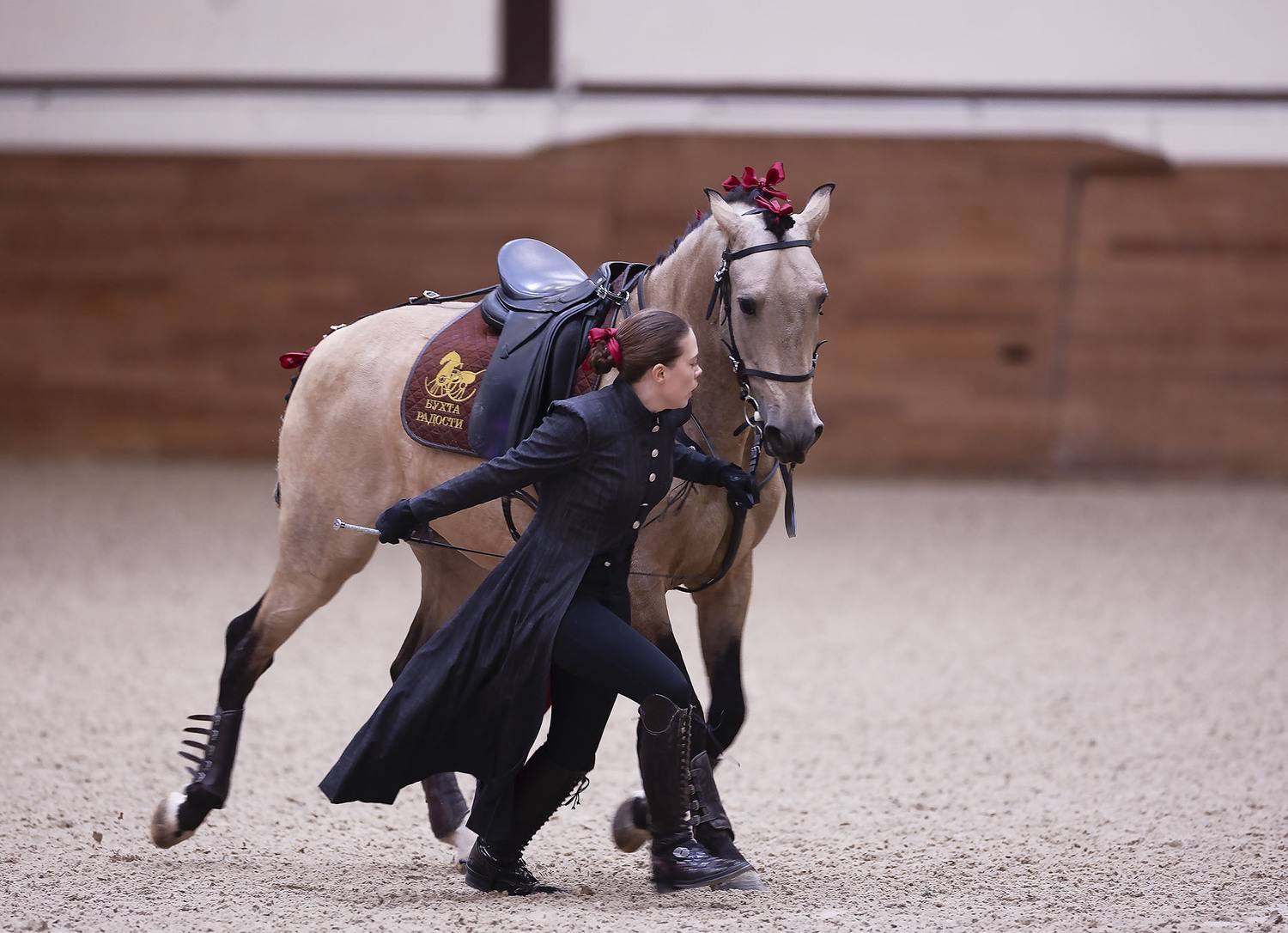выступление, спорт, horse, competition, sport, Стукалова Юлия