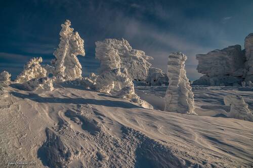 Морозное кружево (2)