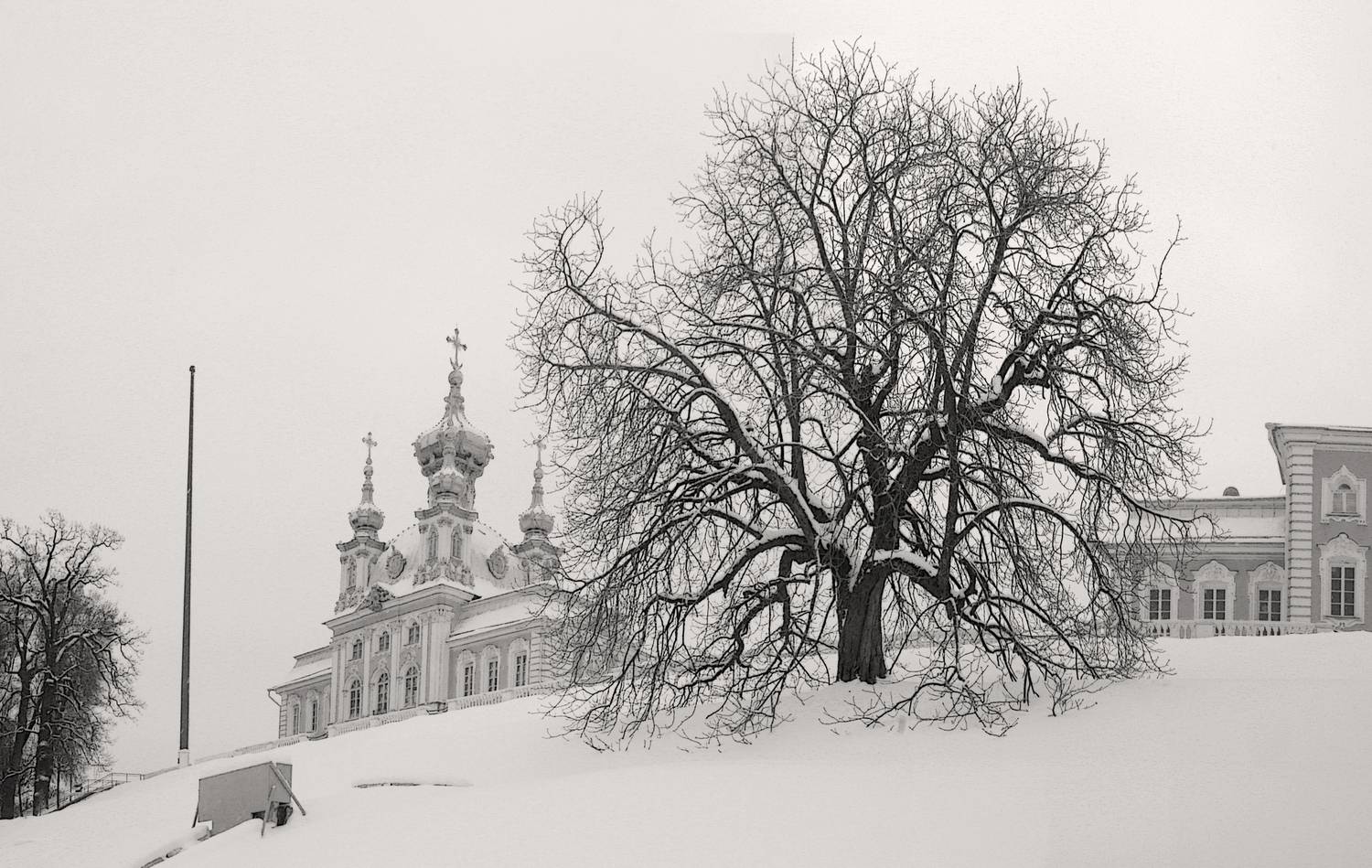 , Сергей Григорьев