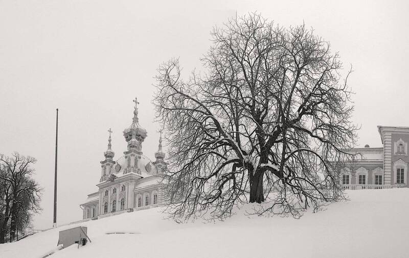 *** фото превью