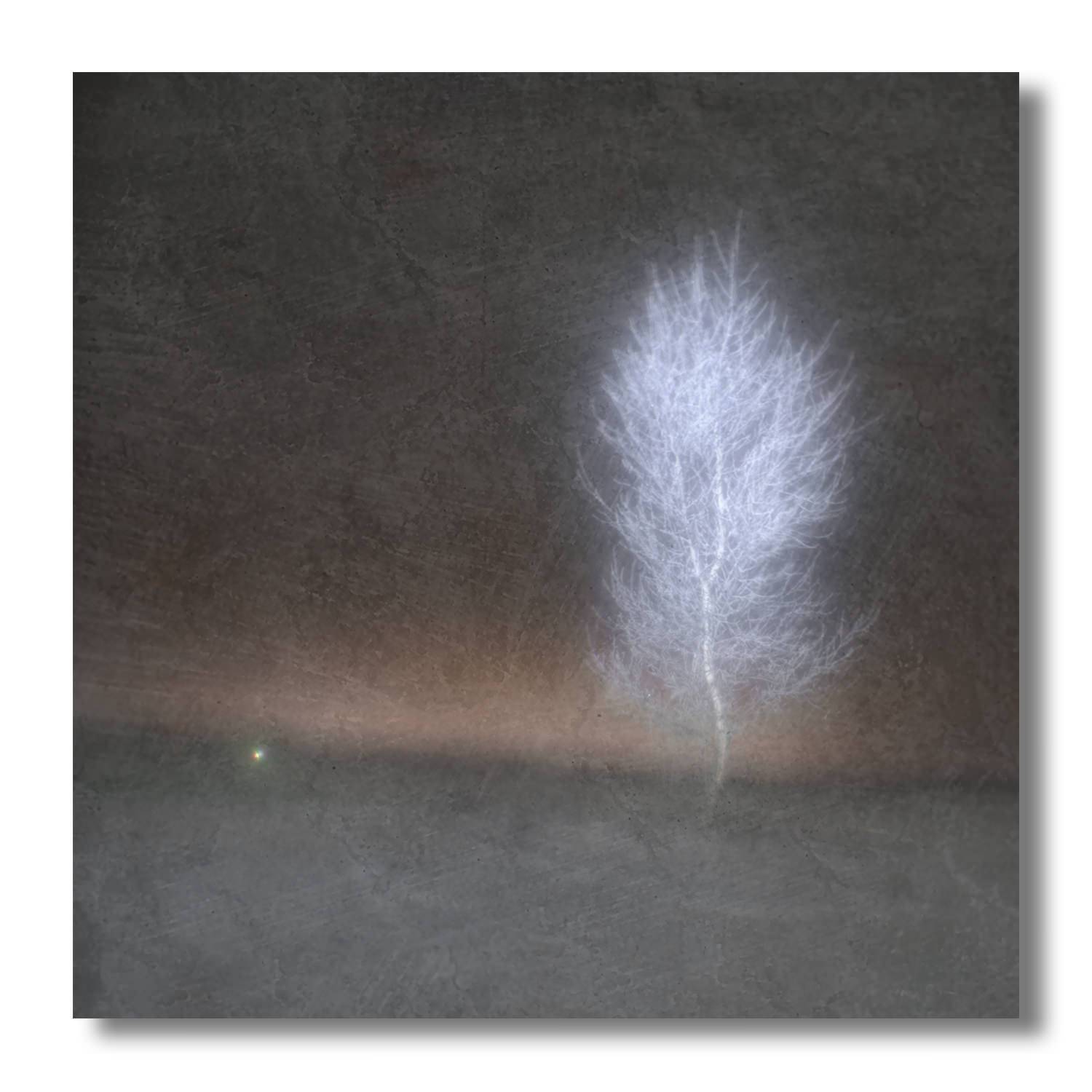 пикториализм, монокль, арт фотография, художественная фотография, пикториальный пейзаж, пикториальная фотография, русский пикториализм, современный пикториализм, Ефимов Андрей