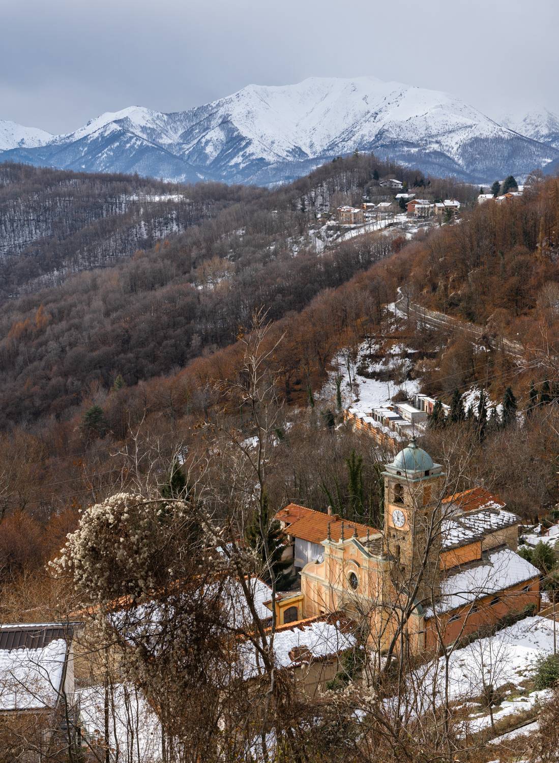 , Дария Максимова