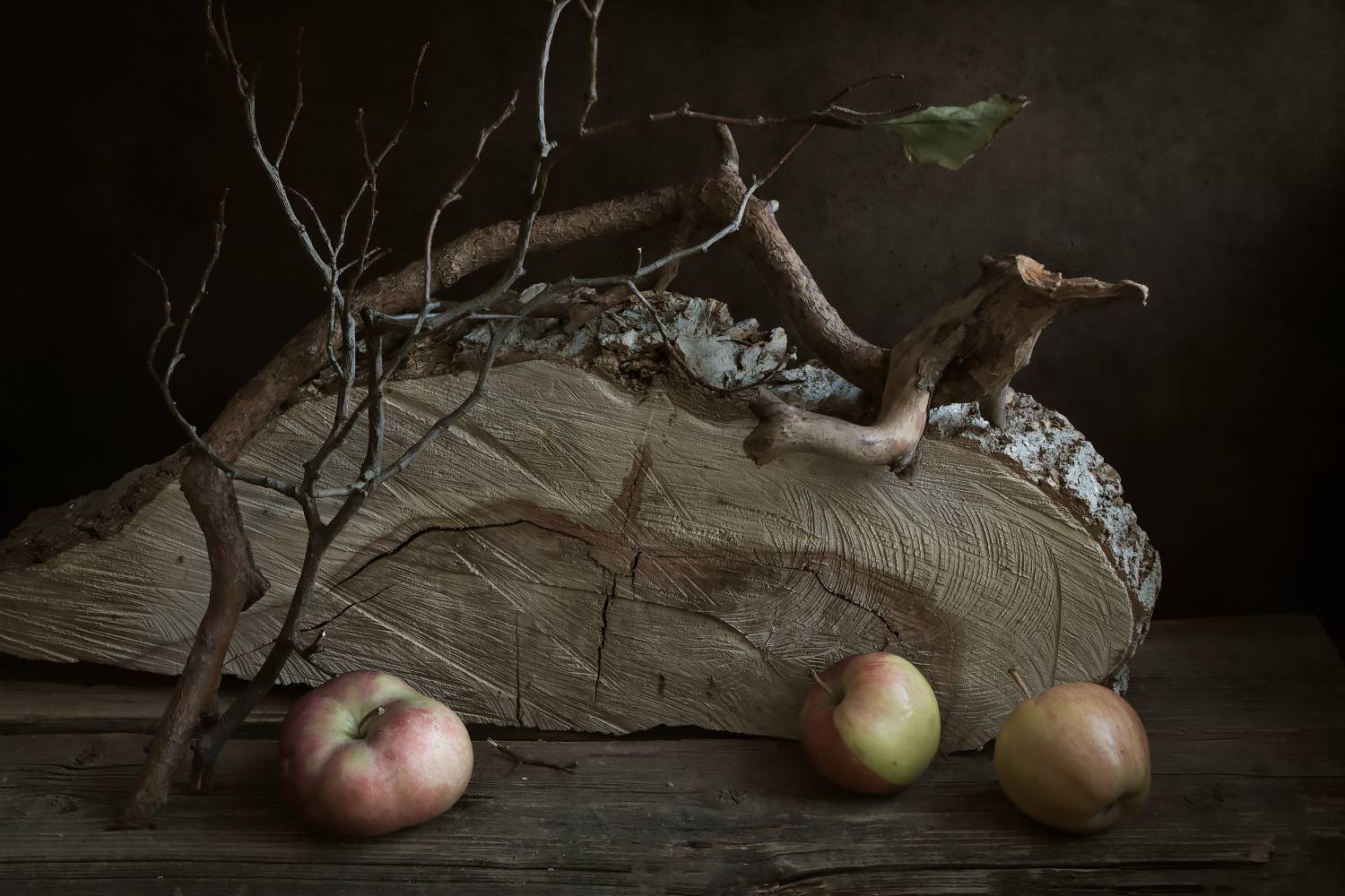 яблоки, сад, ветки, дерево, Колеснева Елена