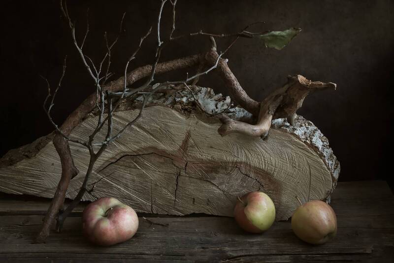 яблоки, сад, ветки, дерево Старый сад фото превью