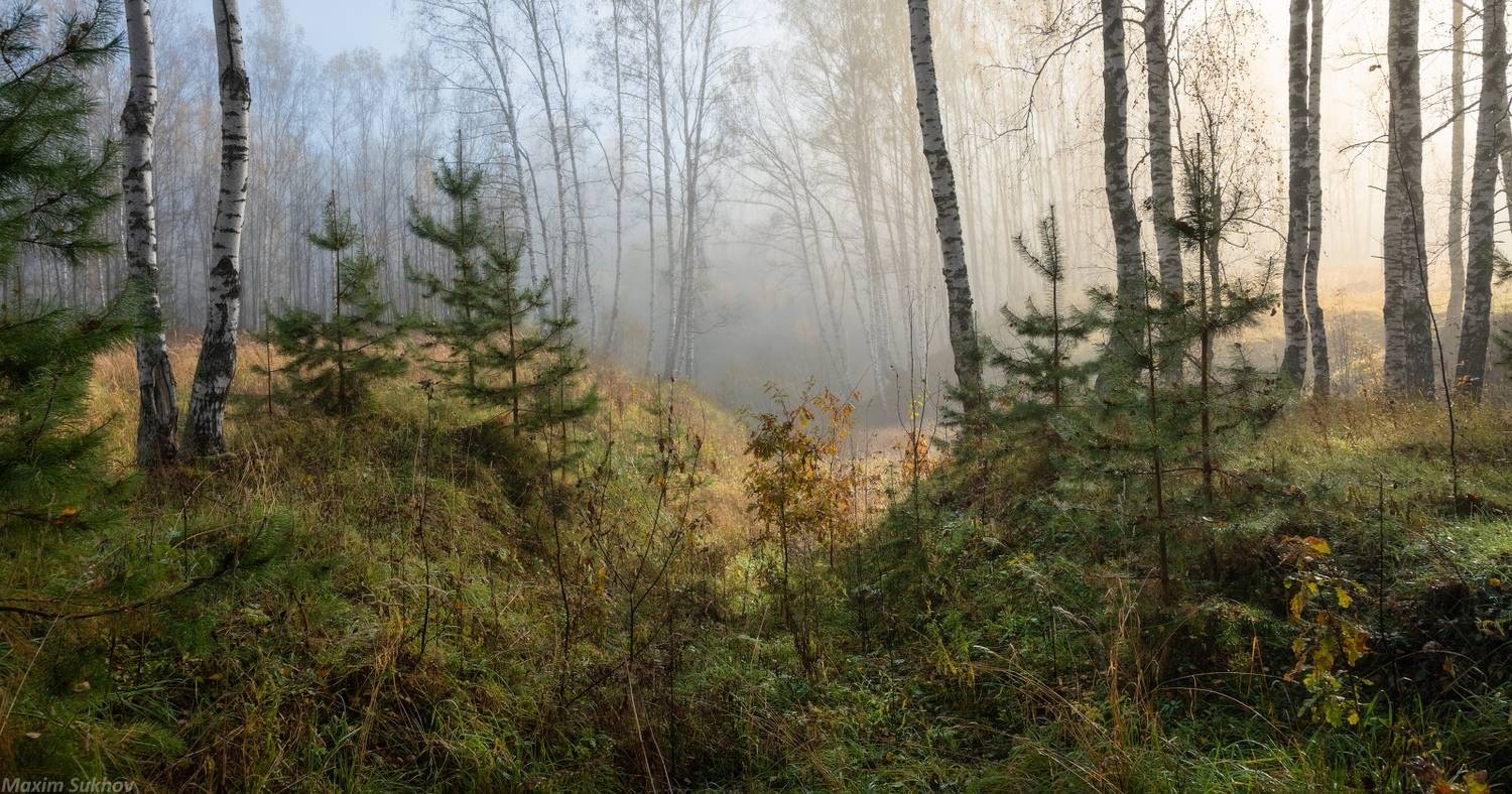 , Максим Сухов