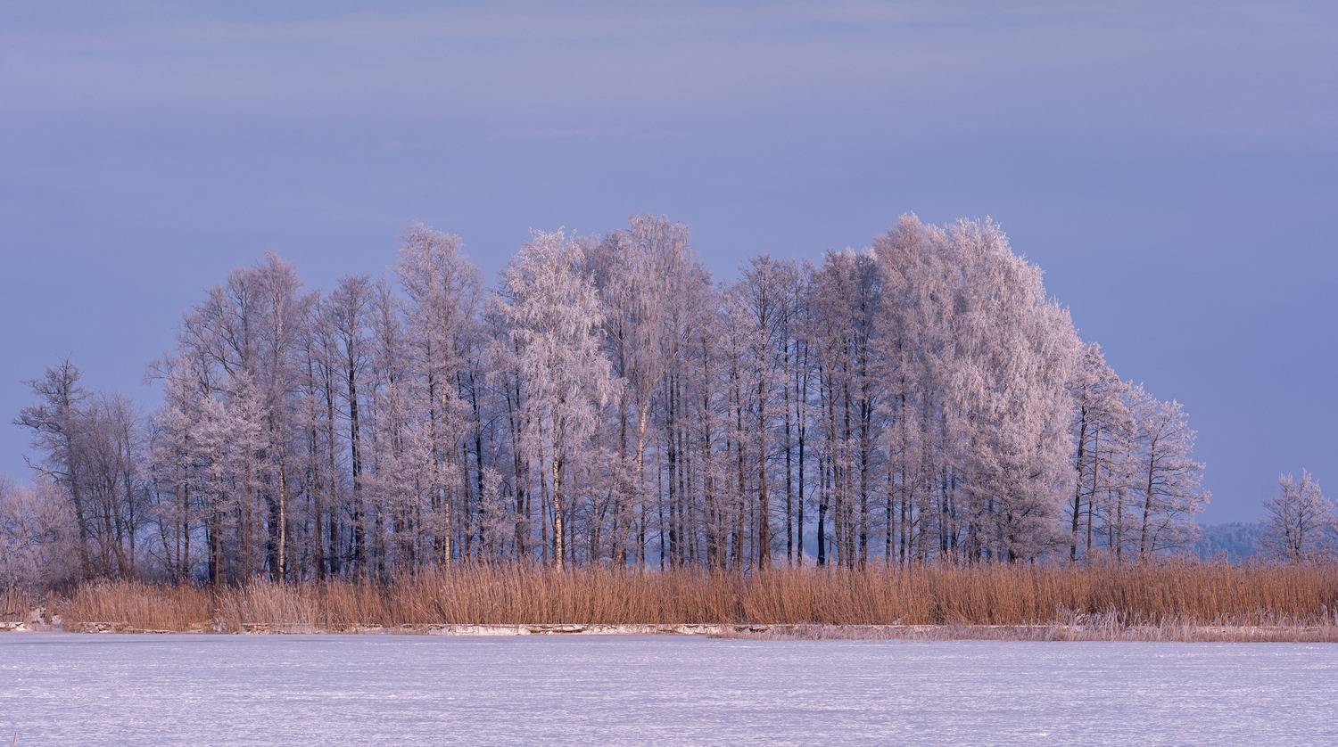 , Гордон Николай