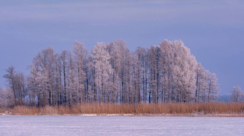 Январь. Мороз фото превью