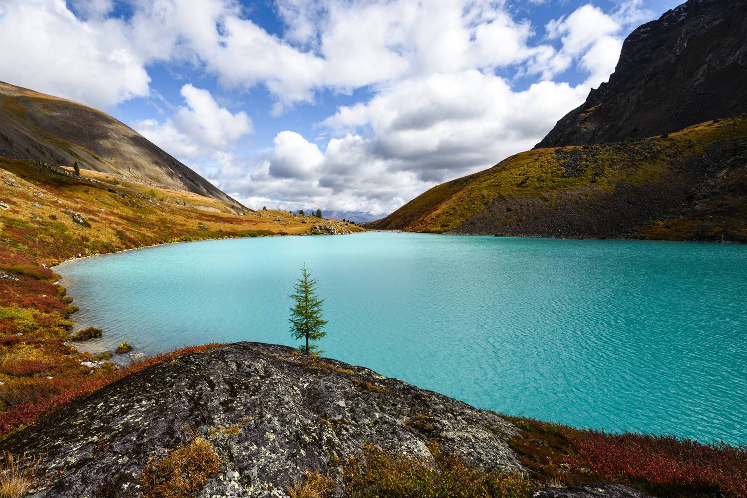 Алтай, озёра, Шавлинское озеро, Шавлинские, Шавла, Каракабак, Каракабакские озёра, цвета, лето, поход, nikon, Лукашенко Сергей